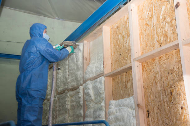 Best Residential Insulation Services  in Reiffton, PA