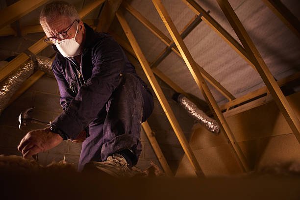 Best Professional Insulation Contractor  in Reiffton, PA