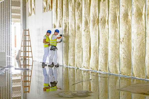 Best Cellulose Insulation  in Reiffton, PA